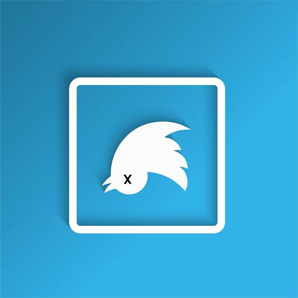 elpajaritomurio2