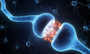 El Secreto del Cerebro Adaptable: Cómo Usar la Neuroplasticidad para Instalar el Éxito y la Innovación Continua en tu Vida y Negocio