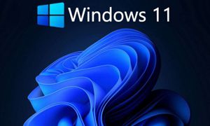 Tips y Características de Windows 11